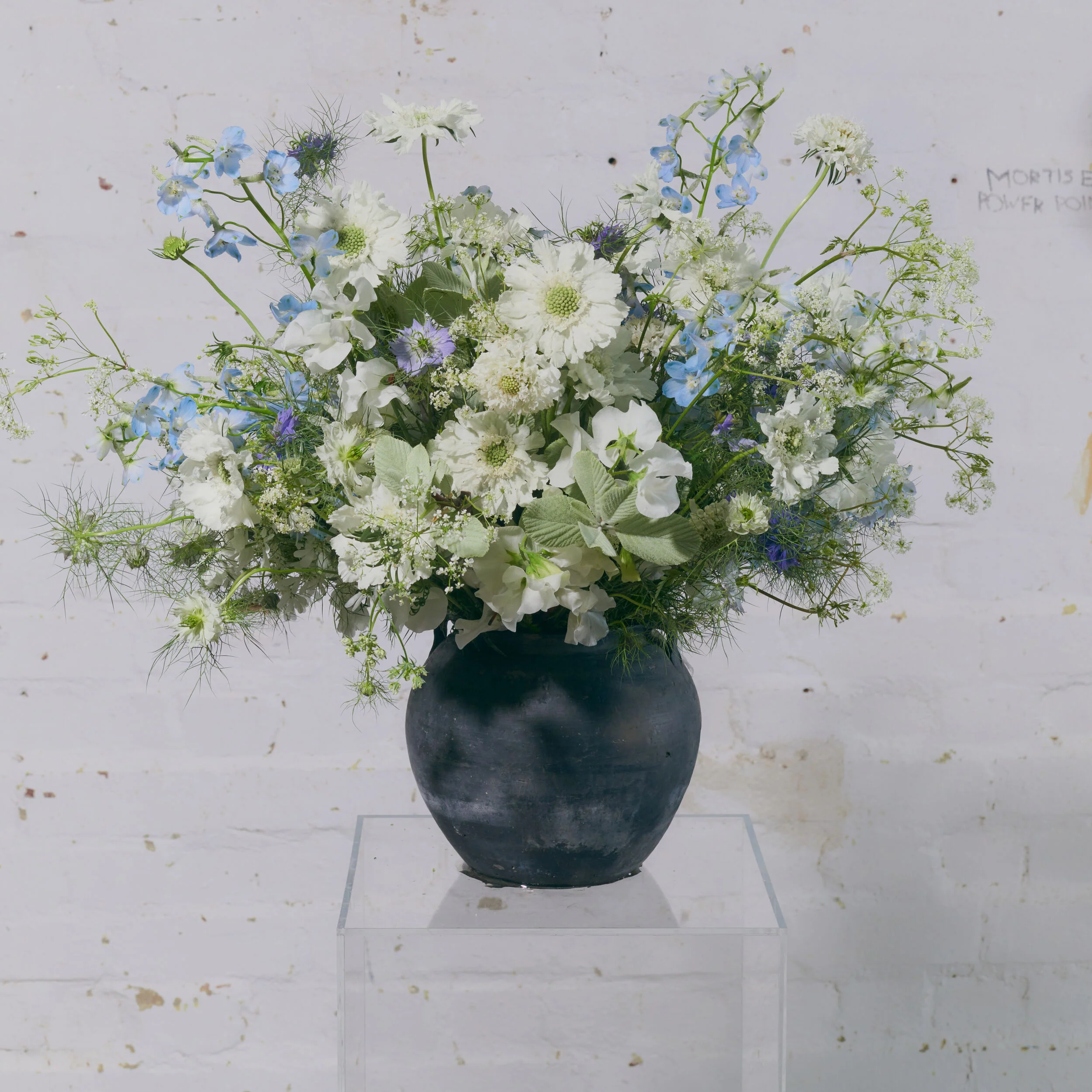 Hedgerow - Image 3