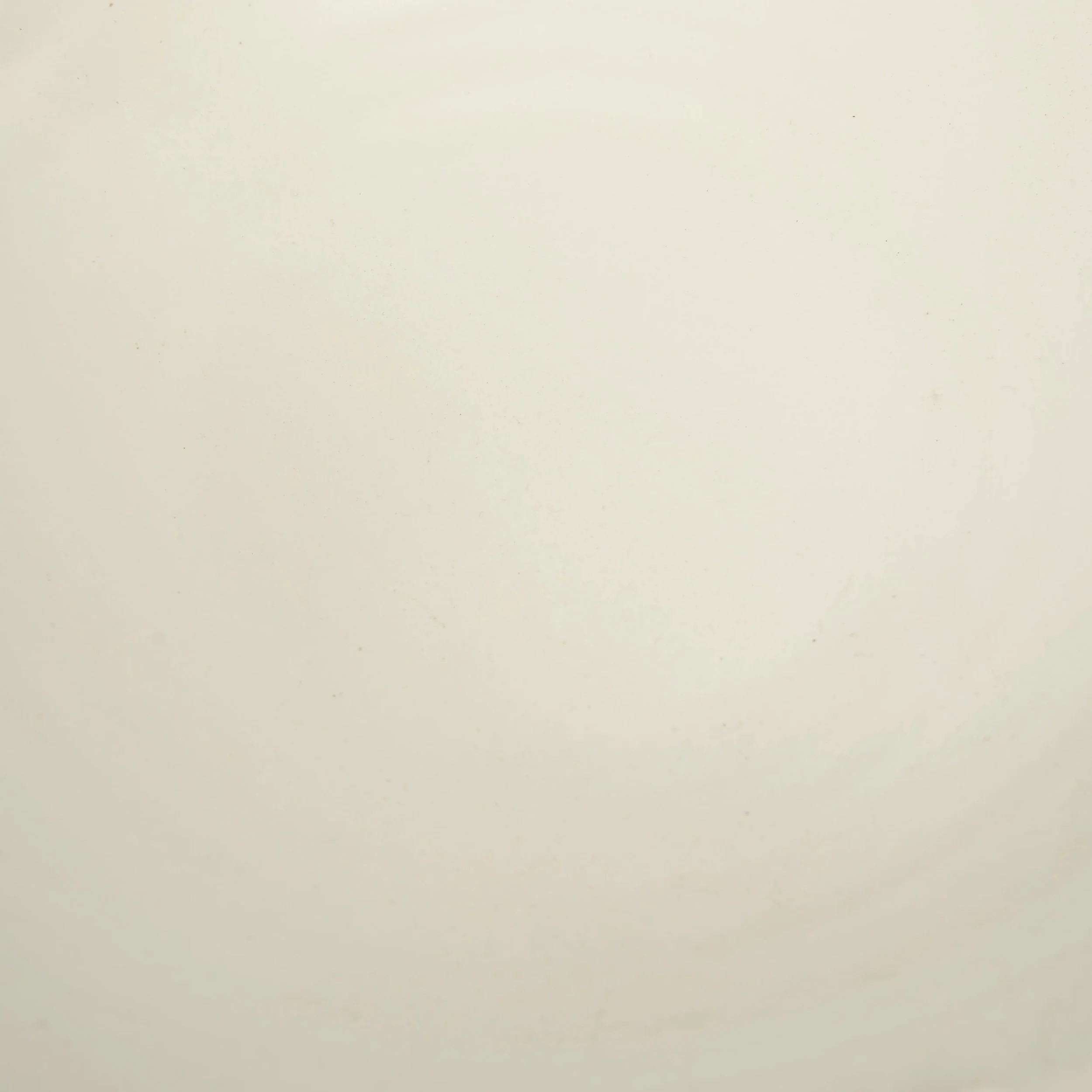 White Shallow Bowl - Image 4